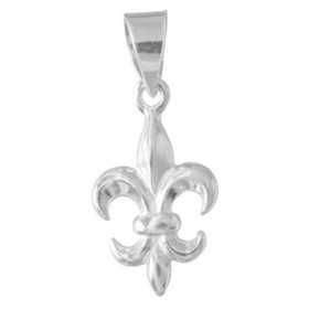 Fleur de Lys en argent