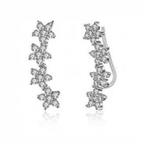 Boucles d'oreilles en argent et oxyde de zirconium.