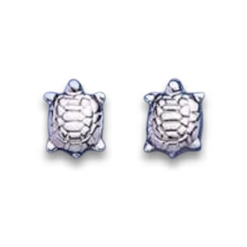 Clous d'oreilles tortues de terre en argent.